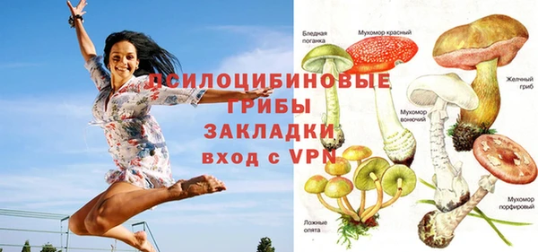 прущий лед Дмитров
