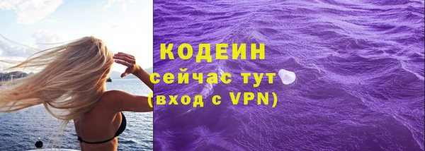 прущий лед Ельня