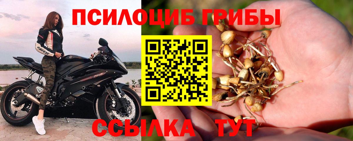 Галлюциногенные грибы MAGIC MUSHROOMS Камышин