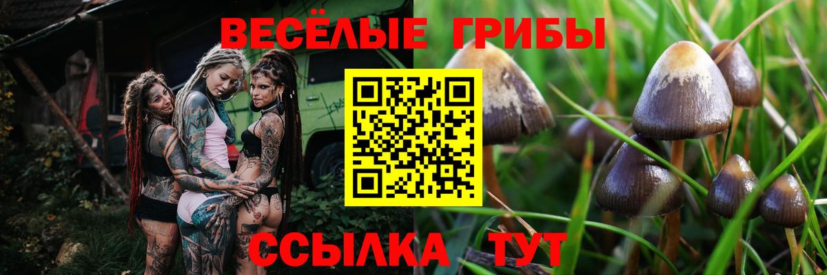 Галлюциногенные грибы Psilocybe  Псилоцибиновые грибы мухоморы  Камышин  Вход с VPN 