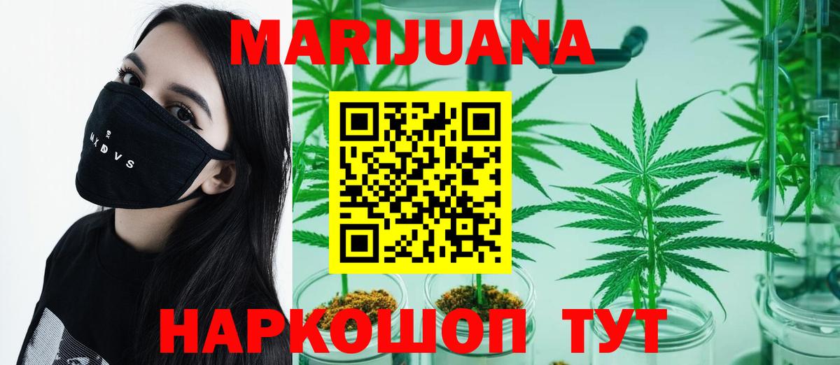 Канабис SATIVA & INDICA Камышин